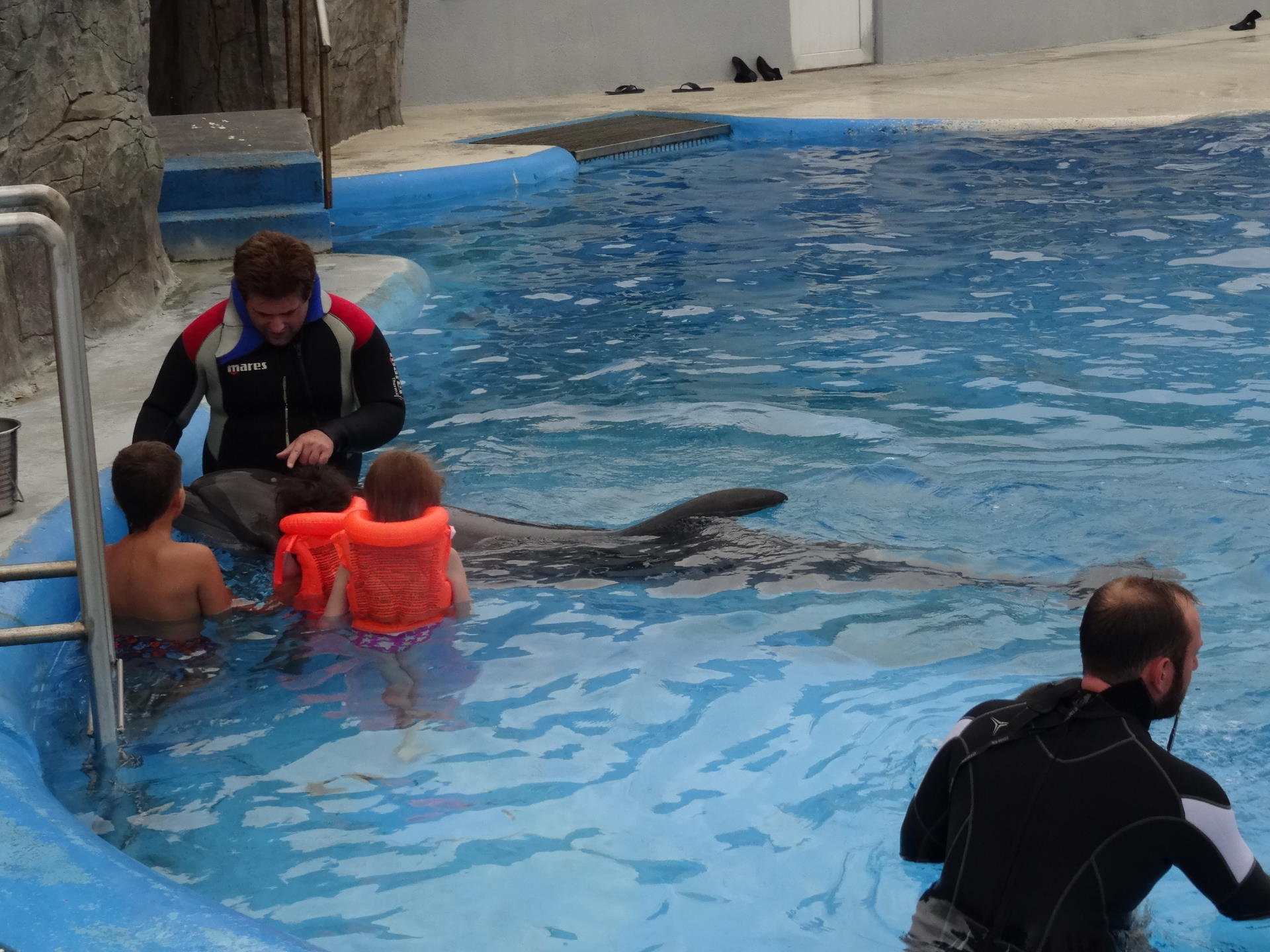 Schwimmen mit Delfinen in Batumi